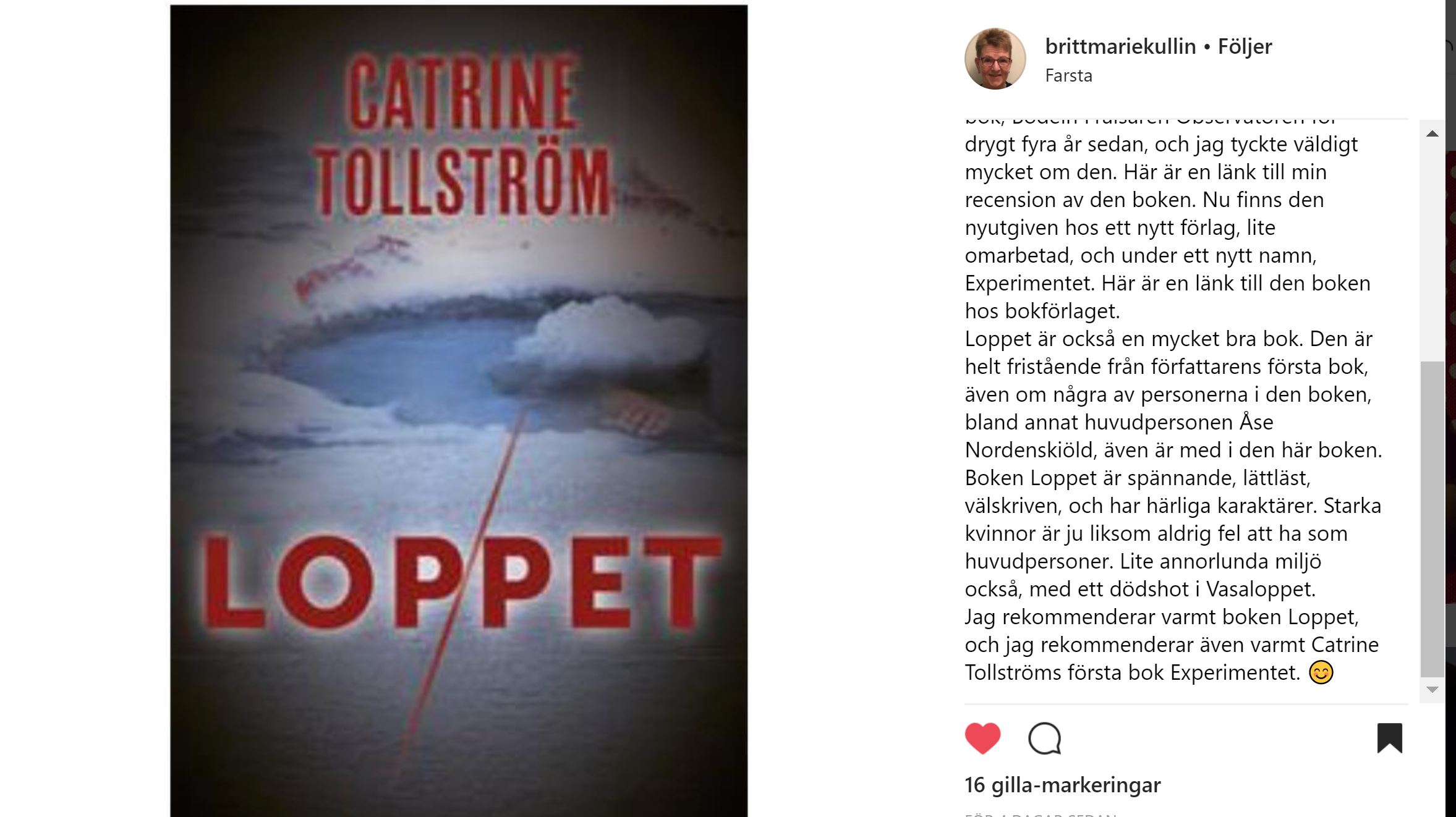 Loppet, recensioner, Catrine Tollström